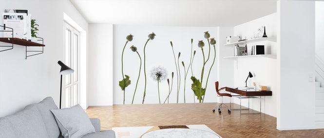 PHOTOWALL / Poppy Pods (e316885)
