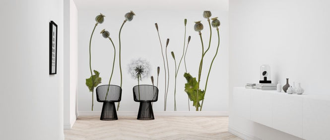 PHOTOWALL / Poppy Pods (e316885)