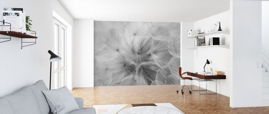 PHOTOWALL / Salsify (e316887)