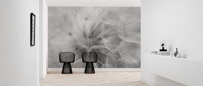 PHOTOWALL / Salsify (e316887)