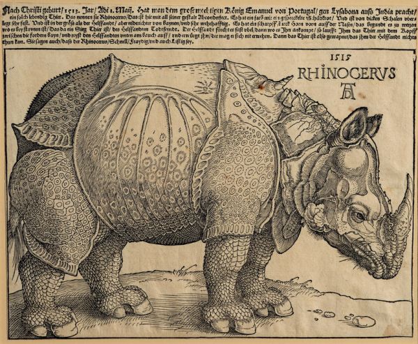 PHOTOWALL / Rhinoceros - Abrecht Durer (e316928)
