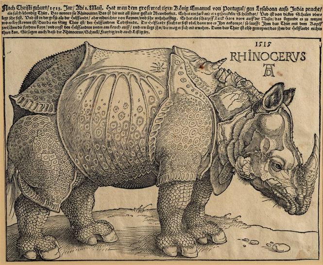 PHOTOWALL / Rhinoceros - Abrecht Durer (e316928)