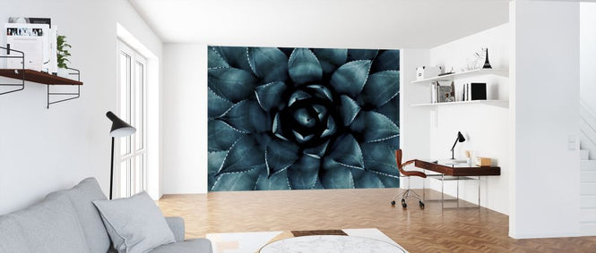 PHOTOWALL / Cactus No 9 (e316848)