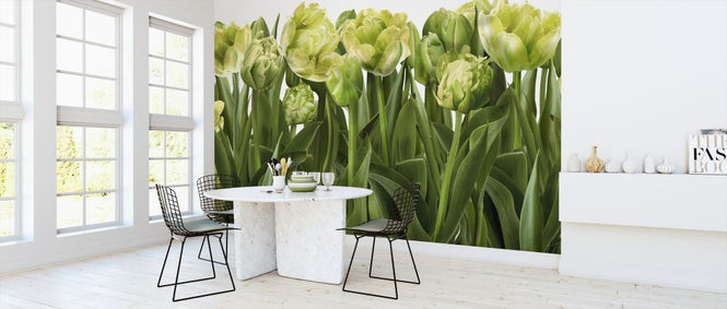 PHOTOWALL / Tulips and Tulips (e317146)