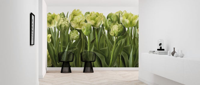 PHOTOWALL / Tulips and Tulips (e317146)
