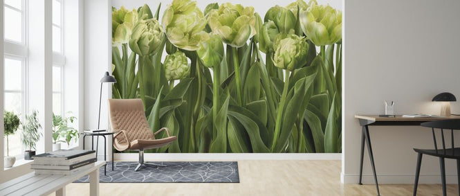 PHOTOWALL / Tulips and Tulips (e317146)