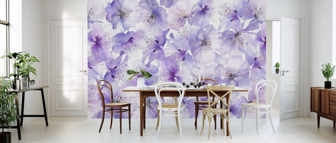 PHOTOWALL / Sakura Flow (e317168)