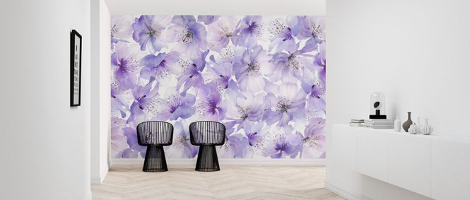 PHOTOWALL / Sakura Flow (e317168)