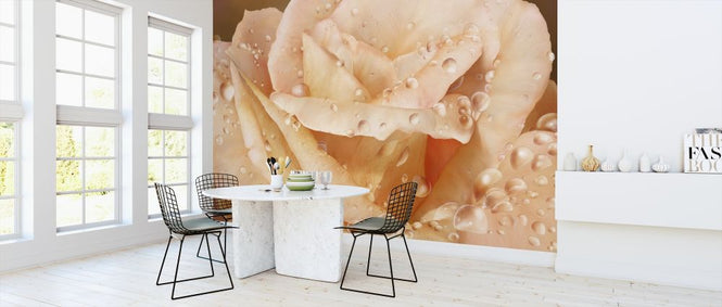 PHOTOWALL / Promised Rose (e317170)