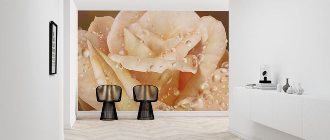 PHOTOWALL / Promised Rose (e317170)