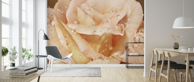 PHOTOWALL / Promised Rose (e317170)