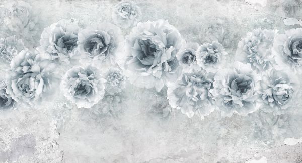 PHOTOWALL / Roses Wall (e317310)