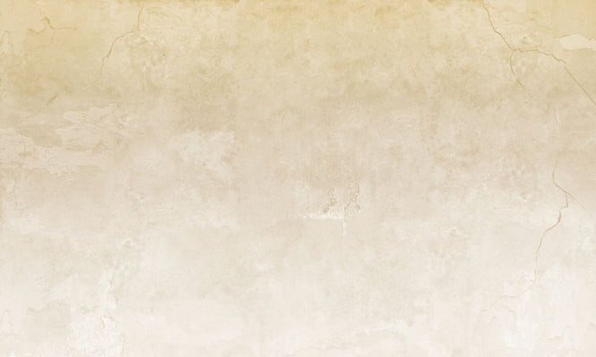 PHOTOWALL / Beige Colored Cracked Wall (e317318)