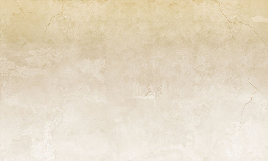 PHOTOWALL / Beige Colored Cracked Wall (e317318)