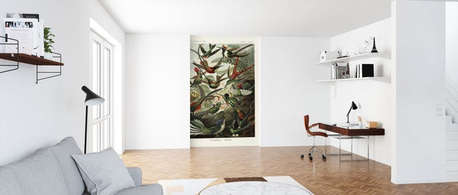 PHOTOWALL / Hummingbird (e316973)
