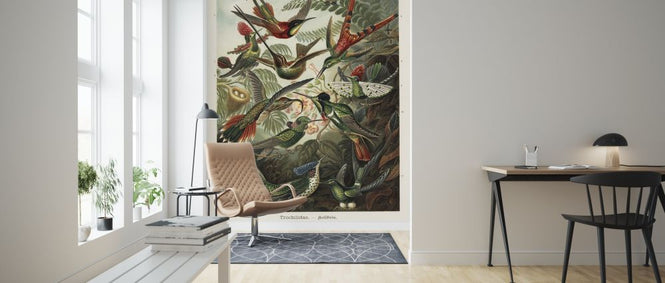 PHOTOWALL / Hummingbird (e316973)