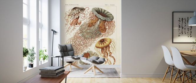 PHOTOWALL / Jellyfish Art Print - Ernst Haeckel (e316974)