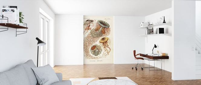 PHOTOWALL / Jellyfish Art Print - Ernst Haeckel (e316974)