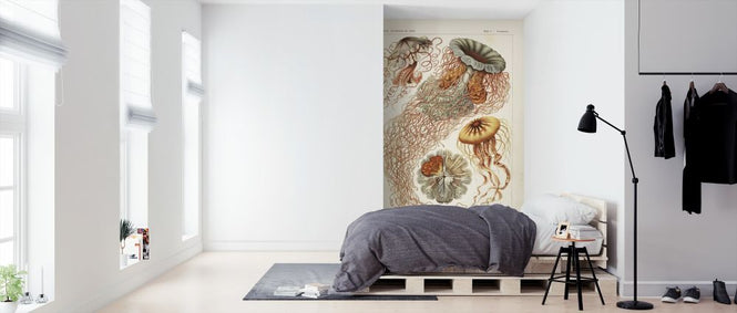 PHOTOWALL / Jellyfish Art Print - Ernst Haeckel (e316974)