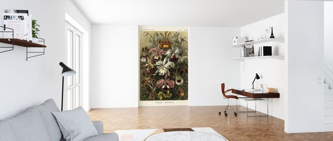 PHOTOWALL / Art Forms in Nature - Ernst Haeckel (e316976)