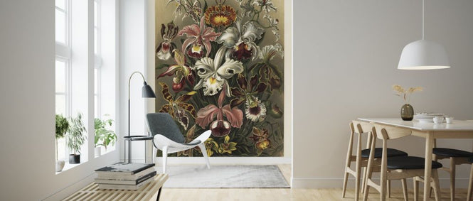 PHOTOWALL / Art Forms in Nature - Ernst Haeckel (e316976)