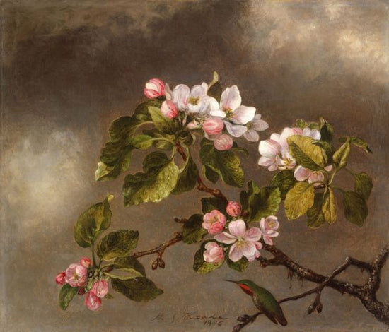 PHOTOWALL / Hummingbird and Apple Blossoms - Martin Johnson Heade (e316981)