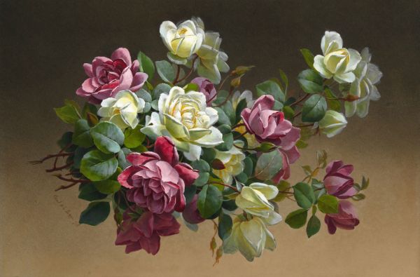 PHOTOWALL / Roses - Paul de Longpre (e316986)