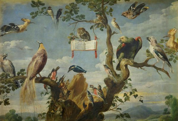PHOTOWALL / Concert of the Birds - Frans Snyders (e317021)