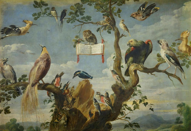PHOTOWALL / Concert of the Birds - Frans Snyders (e317021)