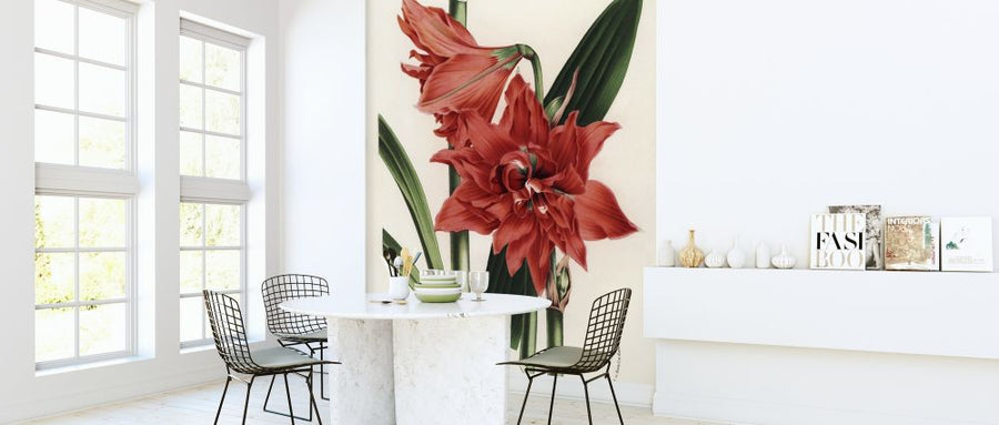 PHOTOWALL / Hippeastrum Queen (e317033)