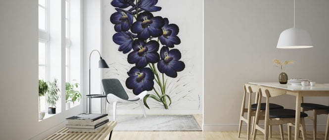 PHOTOWALL / Larkspur Hybrid (e317038)