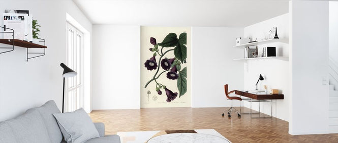 PHOTOWALL / Royal Purple Gaybine (e317040)