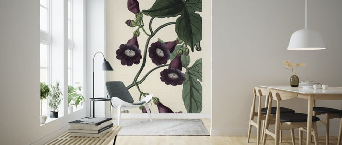 PHOTOWALL / Royal Purple Gaybine (e317040)