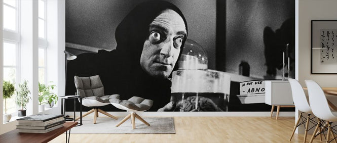 PHOTOWALL / Young Frankenstein - Marty Feldman (e317042)