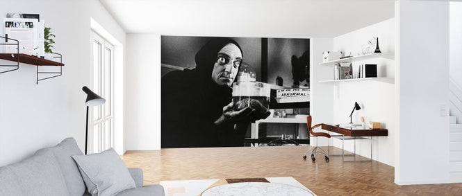 PHOTOWALL / Young Frankenstein - Marty Feldman (e317042)