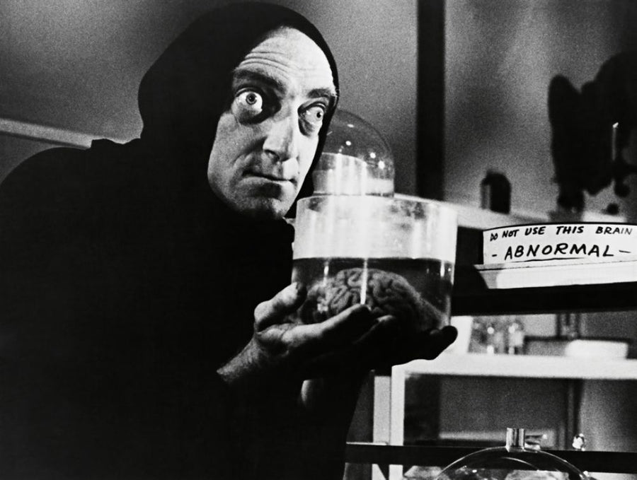 PHOTOWALL / Young Frankenstein - Marty Feldman (e317042)