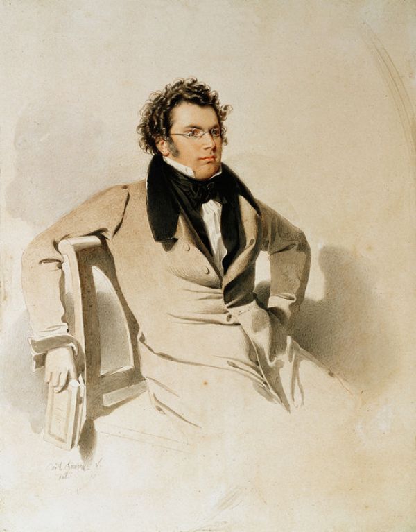 PHOTOWALL / Franz Schubert (e317064)