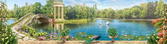 PHOTOWALL / Swans in Pond (e317401)