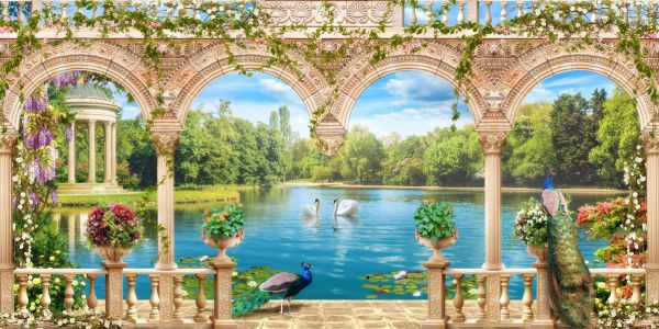 PHOTOWALL / Swans in Park (e317406)