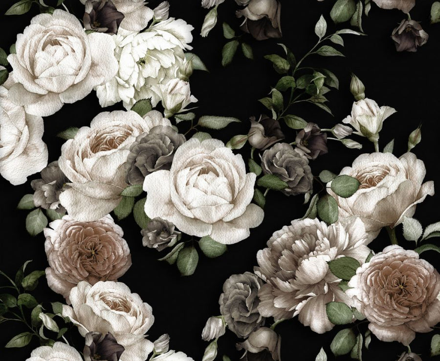 PHOTOWALL / White Roses on Black Background (e317433)