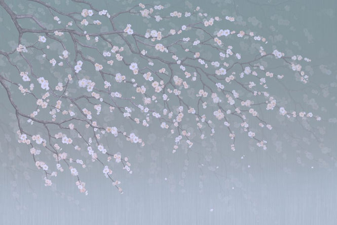 PHOTOWALL / Sakura (e317753)