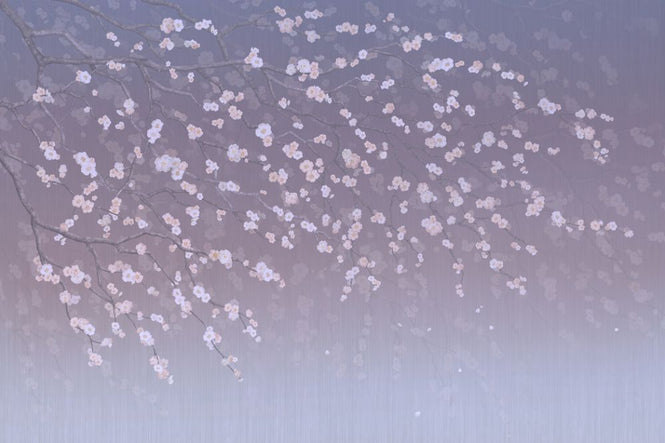 PHOTOWALL / Sakura - Purplish (e317755)