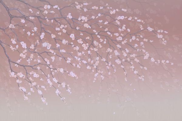 PHOTOWALL / Sakura - Ruby (e317756)