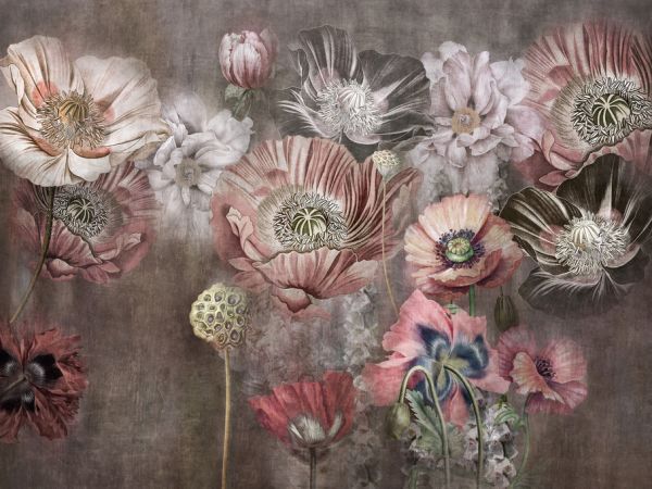 PHOTOWALL / Maki Maki (e317896)