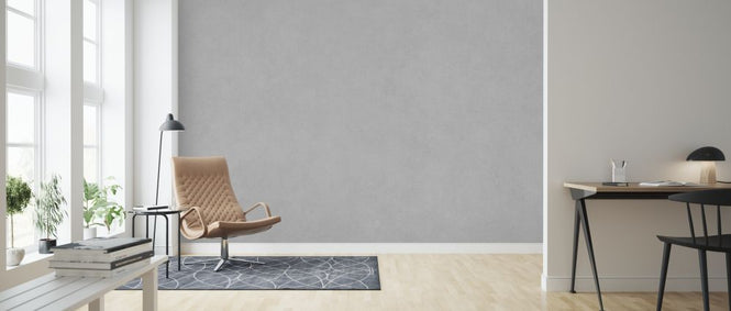 PHOTOWALL / Washed Concrete Wall - Light (e317899)