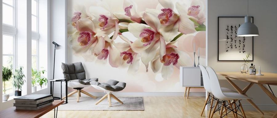 PHOTOWALL / Pink Orchid (e317657)