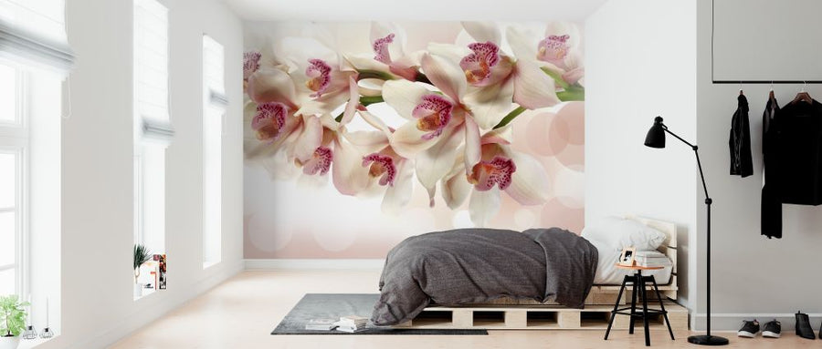 PHOTOWALL / Pink Orchid (e317657)