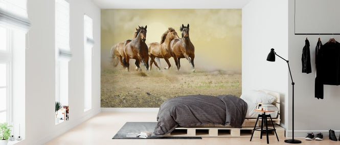 PHOTOWALL / Wild Horses (e317658)