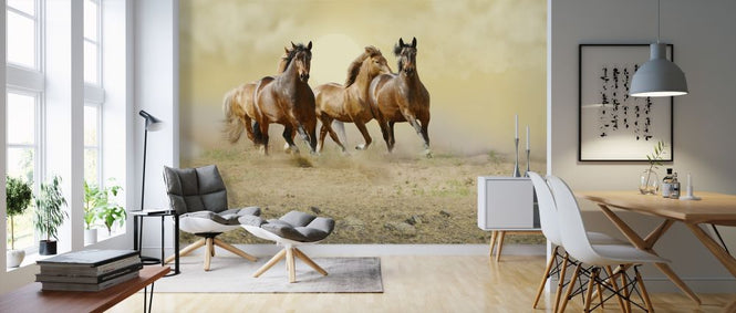 PHOTOWALL / Wild Horses (e317658)