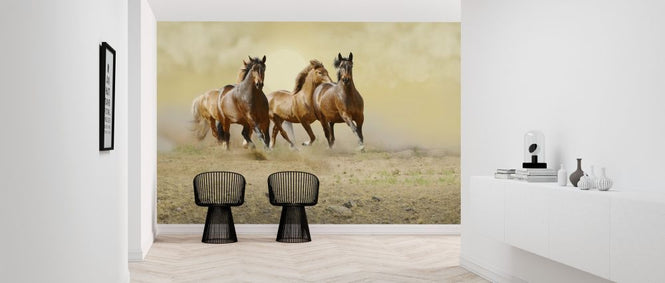 PHOTOWALL / Wild Horses (e317658)